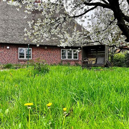 Appartamento Elbkoje Drage  Esterno foto