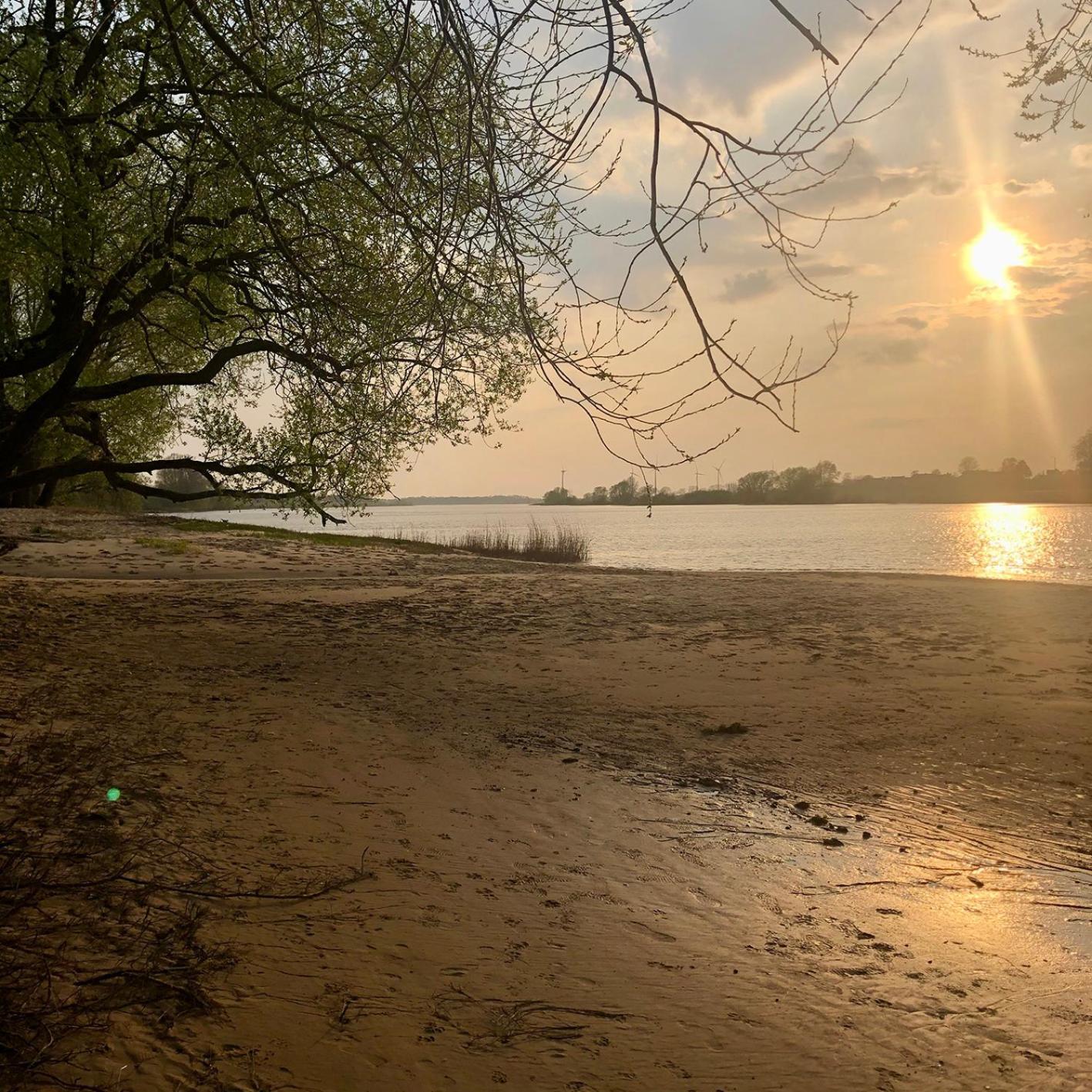 Appartamento Elbkoje Drage  Esterno foto